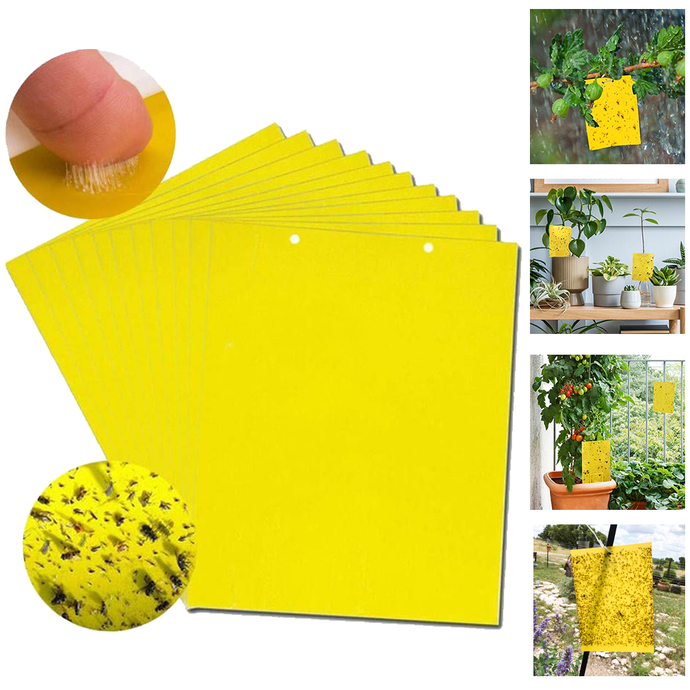 MLFU Sticky Traps Fruit Fly Sticky Traps - 5-Sheet, Yellow Sticky Traps for Fungus Gnats, Aphids, Other Flying Plant Insects